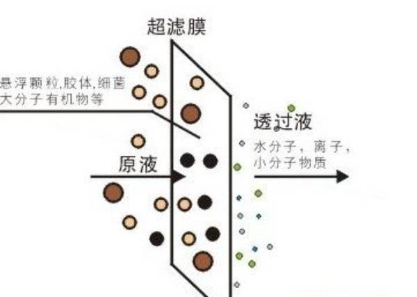 超滤膜